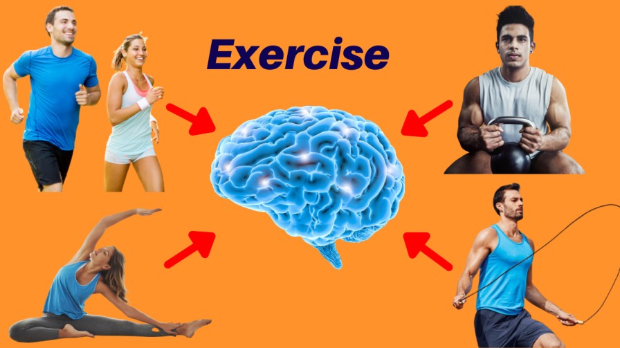 exercise boost brainpower